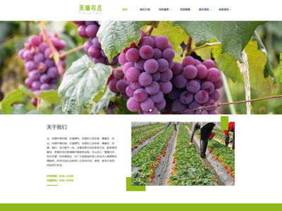 淺綠寬屏農莊采摘網(wǎng)站制作建設-案例